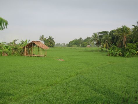 Farms in Naic Cavite ~ Cavite, Philippines ~ October 2009 Cavite Philippines, Bacolod, Future Farms, Open Field, Cool Places To Visit, Places Ive Been, Philippines, The Good Place, Vision Board