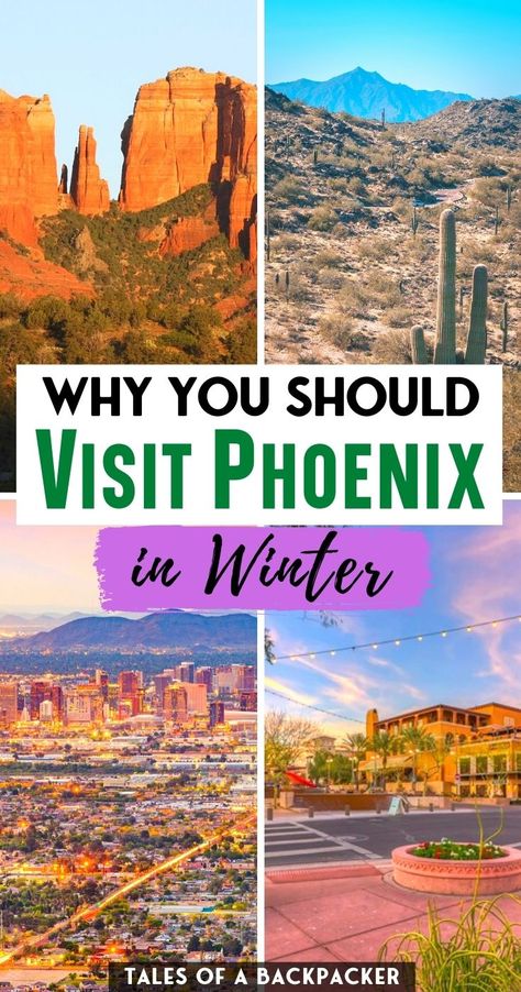 Arizona In January, Phoenix Things To Do, Phoenix Travel Guide, Arizona Christmas, Arizona Winter, Phoenix Vacation, Phoenix Travel, Best Winter Vacations, Arizona Vacation