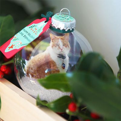 DIY Cat Ornaments You Can Make This Christmas! – Meow As Fluff Diy Ornaments Pets, Cat Diy Ornament, Cat Ornaments Diy Homemade Christmas, Diy Cat Ornaments Christmas, Diy Cat Ornaments, Cat Ornaments Diy, Diy Photo Ornaments, Diy Cat Food, Homemade Christmas Ornaments Diy