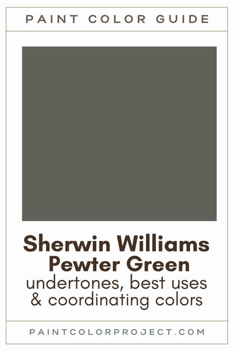 Sherwin Williams Pewter Green paint color guide Ripe Olive Sherwin Williams Color Palette, Dark Olive Green Walls Master Bedrooms, Revere Pewter And Green Color Scheme, Pewter Green Accent Wall Bedroom, She Twin Williams Pewter Green, Best Grey Paint Colors Sherwin Williams, Colors That Go With Pewter Green, Sherwin Williams Night Owl Cabinets, Sherwin Williams Exterior Green