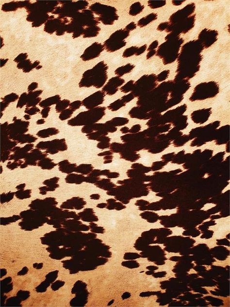 RusticDesignsKY's Amazon Page Western Fabrics, Simple Symbols, Cow Print Fabric, Velvet Art, Cowhide Fabric, Fabric Empire, Duck Cloth, Hair Cover, Cream Fabric