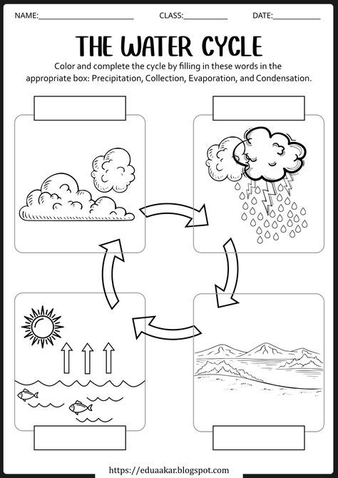 Water Cycle Worksheet 2nd, Water Cycle 3rd Grade, The Water Cycle Worksheet, Science Worksheets For 3rd Grade, Water Cycle Coloring Page, Precipitation Diagram, Water Art Activities, English Manipulatives, Uses Of Water Worksheet For Kids