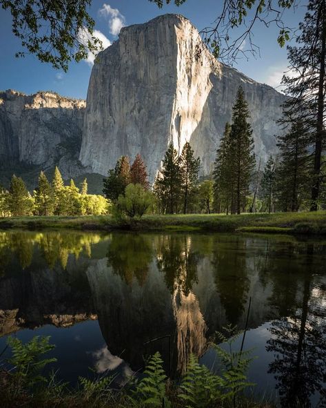 How about starting the day with a nice breakfast, some coffee or orange juice, and a refreshing, comfortable hike along the Merced River with this breathtaking view of El Capitan? Yeah, sounds good to us, too. 📸 by Instagram user @vache.in.focus. ... #yosemite #yosemitenationalpark #yosemitevalley #yosemitenation #yosemitenp #yosemite_national_park #yosemitenps #yosemitepark #californialove #california #mariposa #mariposacounty #nationalpark #national_park