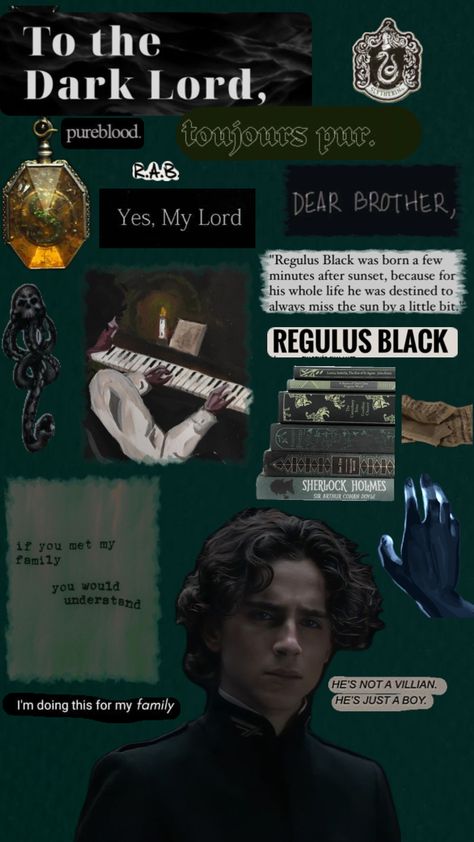 Ooosh! Regulus Black! #regulusarcturusblack #regulusblack #regulus #jegulus #regulusdeserevedbetter Regulus Acturus Black, Slytherin Harry Potter, Sir Arthur Conan Doyle, Regulus Black, Conan Doyle, Arthur Conan Doyle, Hogwarts Houses, Marauders Era, Dark Lord