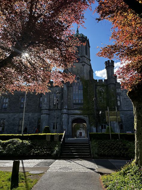 University of Galway Galway University Aesthetic, University Of Galway, Future Moodboard, Uni Vibes, College Motivation, Acceptance Letter, Galway Ireland, Galway, After School