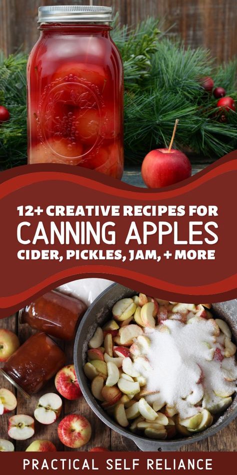 Apple Recipes Savory, Apple Canning Recipes, Apple Recipes For Canning, Apple Canning, Preserving Apples, Recipes For Canning, Pickled Apples, Savory Apple Recipes, Water Bath Canning Recipes