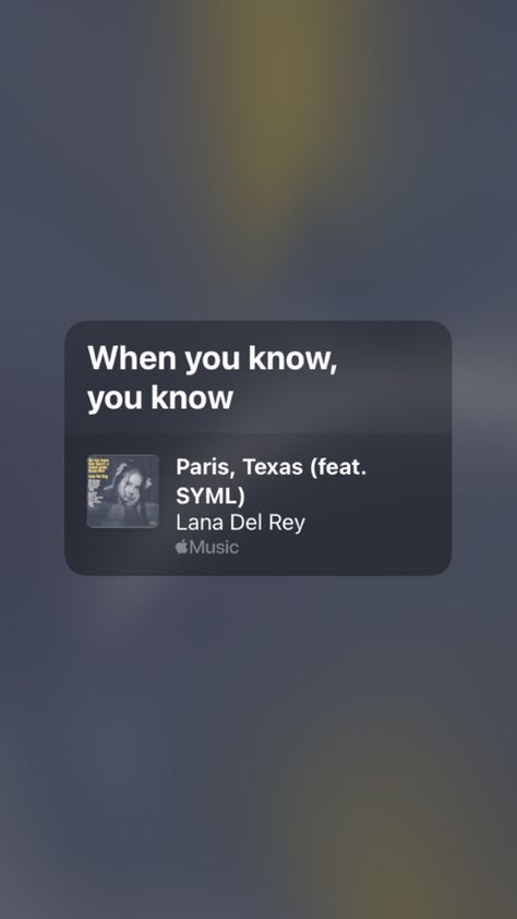 When You Know You Know Lana, Apple Music Lyrics, Lana Del Rey Music, Lana Del Rey Quotes, Lana Del Rey Lyrics, Poppy And Branch, Spotify Apple, Music Taste, Aesthetic Stuff