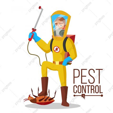 Termite Prevention, Wood Termites, Office Safe, Best Pest Control, Flea Prevention, Bug Control, Termite Control, Pest Management, Insect Control