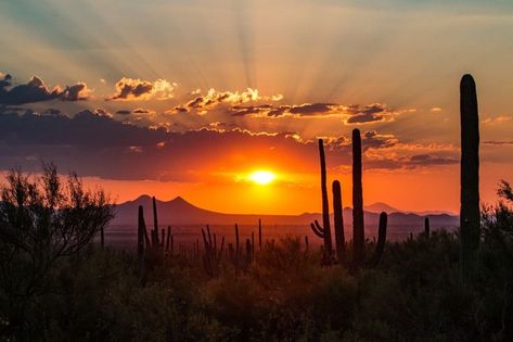 Tucson Style, Tucson Sunset, Colorful Lizards, Ranch Resort, Desert Sunrise, Arizona Sunset, Desert Landscapes, Snowy Weather, Guest Ranch