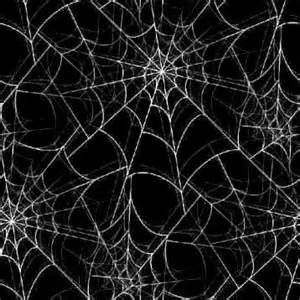 Spider Aesthetic, Goth Spider, Black And White Spider, Goth Gifts, How To Impress, Y2k Icons, Spider Art, 2000s Grunge, Phone Decor