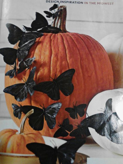 Black Butterfly Halloween, Butterfly Halloween, Halloween Decor Diy, Classy Halloween, Halloween Decor Ideas, Boho Halloween, Zucca Halloween, Chic Halloween, Elegant Halloween