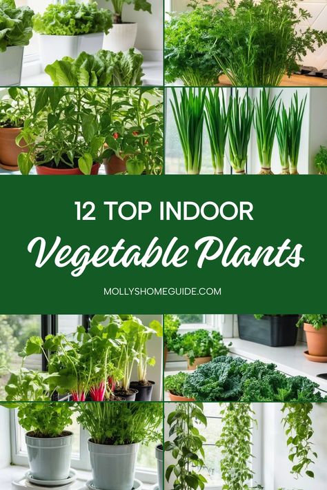 Looking to add some greenery indoors? Discover the best indoor vegetable plants you can easily grow inside. From strawberries to herbs, learn how to grow vegetables indoors and harvest fresh produce all year round. Get started with the easiest vegetables to grow indoors and even regrow from kitchen scraps. Consider growing vegetables in buckets or creating a year-round indoor garden with the best vegetables for your space. Enjoy the convenience of having your own indoor vegetable garden right at Inside Vegetable Garden Ideas, Easiest Herbs To Grow Indoors, How To Grow Spinach Indoors, Indoor Garden Setup, How To Grow Herbs Indoors, Grow Spinach Indoors, Vegetables In Buckets, Vegetables To Grow Indoors, Indoor Kitchen Garden