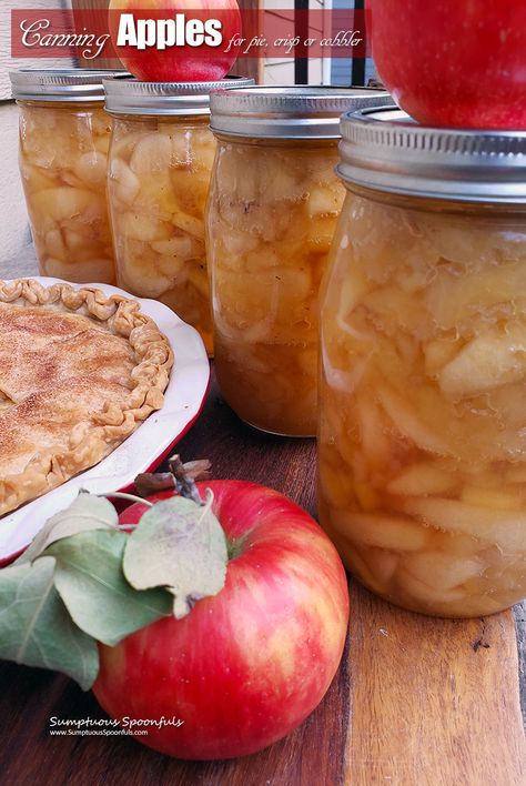 Canning Apples for Pie, Crisp or Cobbler | Sumptuous Spoonfuls Apple Crisp Recipe With Canned Apples, Apples For Pie, Canning Apple Pie Filling, Canning Apples, Pepper Jam, Apple Pie Filling Recipes, Canning Salsa, Apple Crisp Recipe, Canned Foods