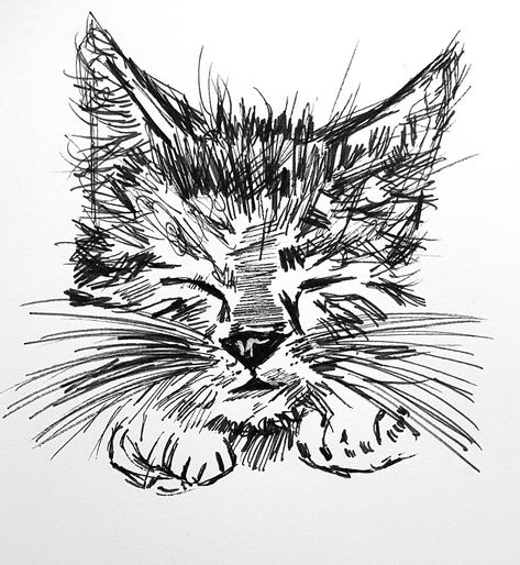 Cat kitten meow art messy squiggles fineliner black Cat Pen Sketch, Ink Cat Drawing, Black Fineliner Art, Messy Pen Art, Cat Pen Drawing, Pen And Ink Drawings Simple, Fineliner Art Illustration, Messy Line Art, Fineliner Art Simple