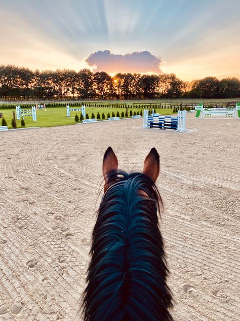 Equestrian Aesthetic Jumping, Show Jumping Arena, Equestrian Property, Stable Aesthetic, Horse Riding Arena, Horseback Riding Outfits, Horse Story, Horse Arena, Show Jumping Horses