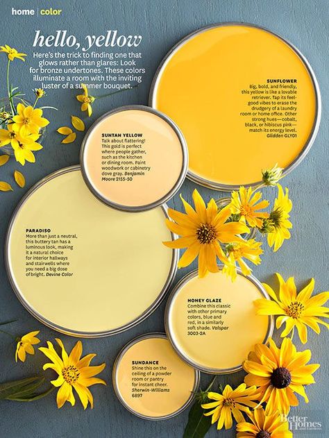 Yellow Paint Colors, Yellow Room, Yellow Kitchen, Garden Painting, Interior Paint Colors, Color Crush, Kitchen Paint, Paint Palette, Yellow Painting