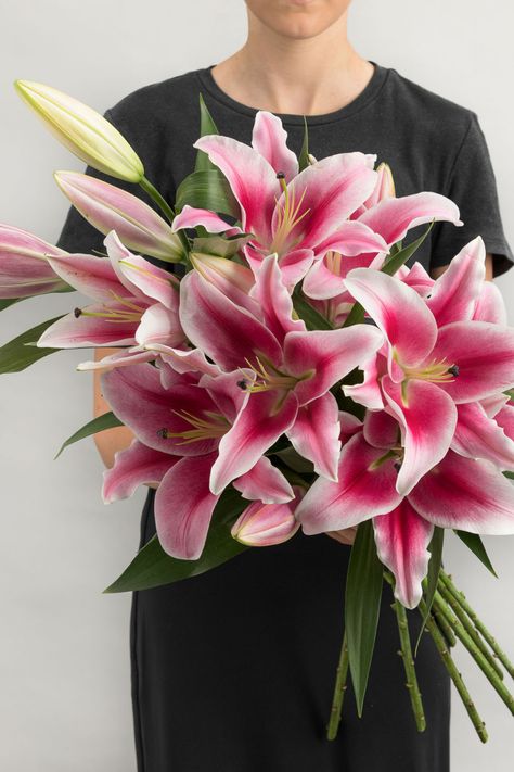 Lily And Tulip Bouquet, Pink Lilies Bouquet, Pink Lily Bouquet, Stargazer Lily Wedding, Tiger Lily Bouquet, Stargazer Lily Bouquet, Minimalist Things, Stargazer Lilly, Lilies Bouquet