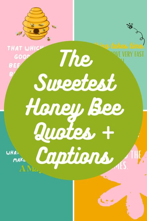 The Sweetest Honey Bee Quotes + Captions - Darling Quote Quotes About Honey Bees, Sweet As Honey Quotes, Sweet Like Honey Quote, Honey Quotes Bee, Honey Captions, Bee Captions, Sweet Insta Captions, Bee Quotes Wisdom, Bee Sayings Cute