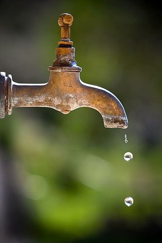 Foto Macro, Foto Top, Ivy House, Rain Water Collection, Down On The Farm, Foto Art, Water Droplets, Water Drops, Macro Photography