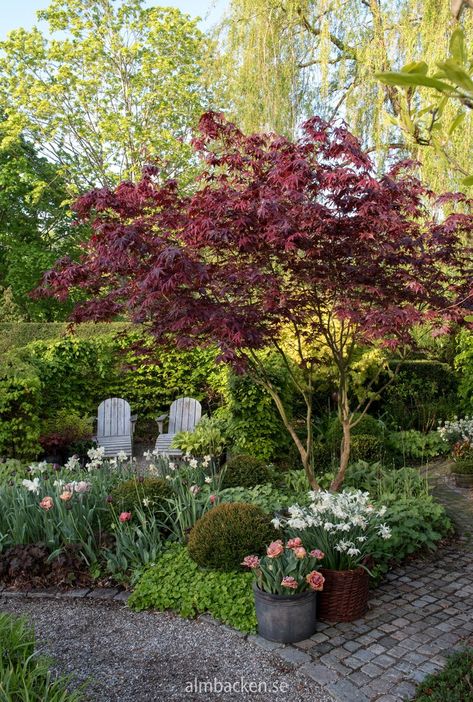 Backyard Gazebo Outdoor Pavilion, English Garden Backyard, English Garden Style, Outdoor Pavilion, Backyard Gazebo, Home Gardening, Garden Backyard, Outdoor Gardens Design, Garden Oasis