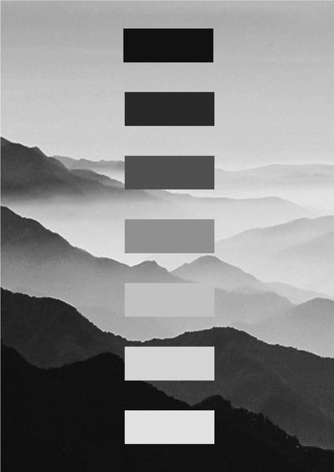 Gray Scale Color Pallete, Black White Pallet Color, Black And White Colour Board, Black And White Colour Scheme, Black Grey Color Palette, Black And Grey Color Palette, Black And White Colour Palette, Black White Palette, Black And White Color Palette