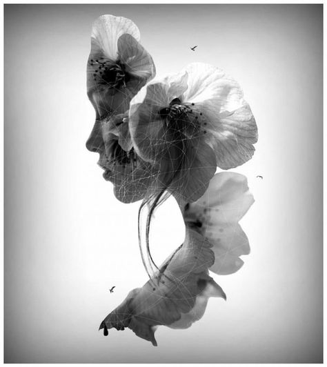 Flowers, Photography, Double Exposure, Film Posters, Soul On Fire, Poets, The Words, Antonio Mora Artwork, Black And White