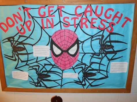 Spider Man Bulletin Board Ideas, Spiderman Bulletin Board, Destress Activities, Door Decorations Ra, Testing Bulletin Boards, Residence Life Bulletin Boards, Ra Programming, Res Life Bulletin Boards, Resident Assistant Bulletin Boards