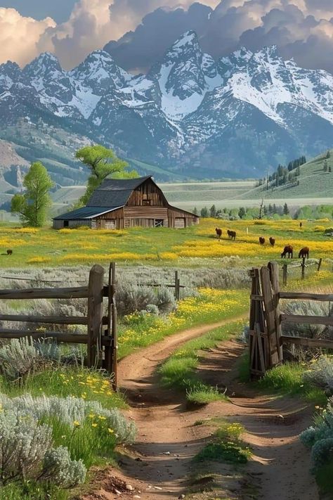 Country Scenes Scenery, Rural Landscape Photography, Country Scenes Farms Landscapes, Farm View, Farm Animal Paintings, Rural Photography, Barn Pictures, Farm Paintings, Western Landscape