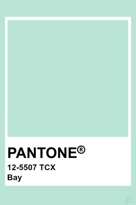 Pantone Bay Honeydew Color Palette, Honeydew Aesthetic, Honeydew Color, White Pantone, Pantone Green, Pantone Tcx, Pantone Color Chart, Pantone Swatches, Pantone Palette