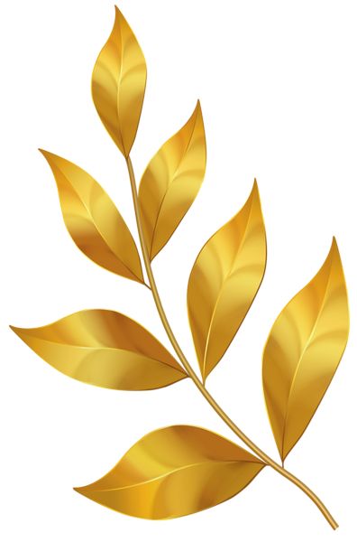 Gold Clipart, Leaves Png, Botanical Flower Art, Birthday Cake Topper Printable, Background Light, Leaf Template, Flower Art Images, Golden Leaves, Gold Leaves