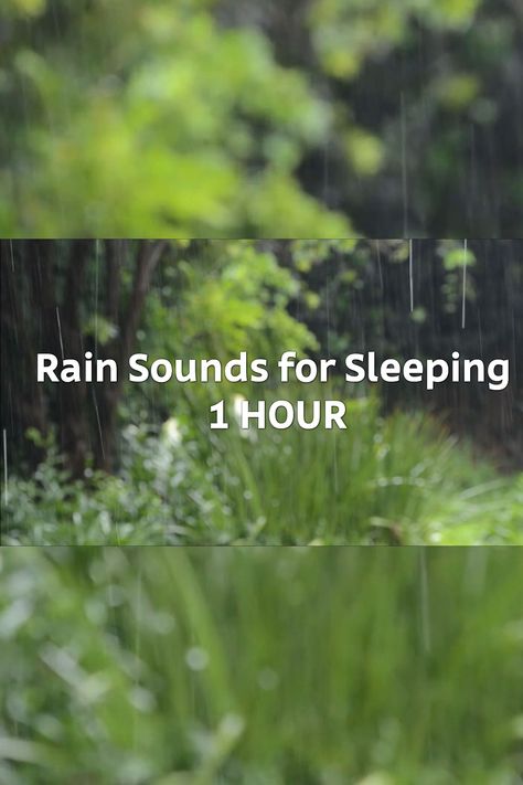 Rain And Thunder Sounds, Music For Meditation, Rain Sounds For Sleeping, Relaxing Sounds, Sounds Of Nature, Rain Sounds, Rain And Thunder, Binaural Beats, Sound Of Rain