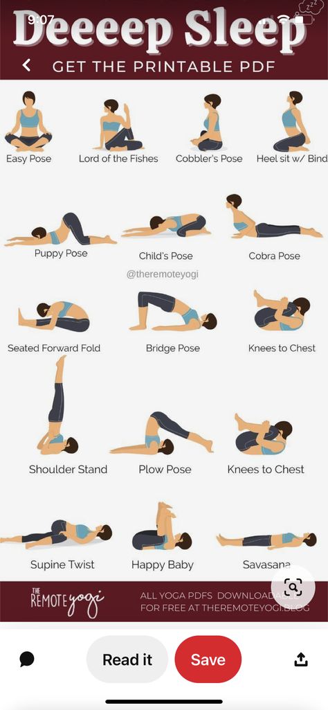 Sport Challenge, Daily Yoga Routine, Yoga Flow Sequence, Yoga Routines, Evening Yoga, Evening Workout, Puppy Pose, Relaxing Yoga, Easy Yoga Workouts