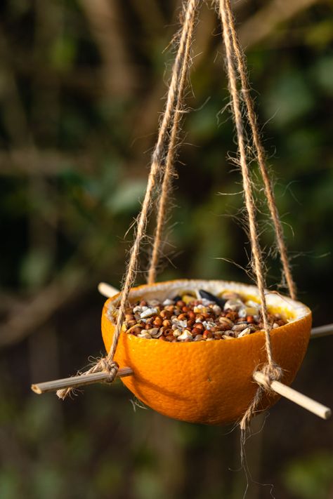 Bird Feeder Christmas, Orange Bird Feeder, Outside Tree Decorations, Diy Bird Feeder Easy, Home Made Bird Feeders, Bird Feeder Station Ideas, Tree Bird Feeder, Bird House Diy, Woodland Crafts