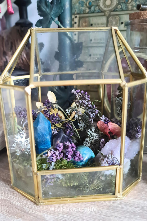 These glass containers can be found in thrift stores or at flea markets and are perfect to be the new home of your favorite crystals! 💙🩵💜 Dried Flowers, Moss, crystals and little treasures you found on your adventures in nature is all you need to turn them into an enchanted crystal terrarium that will make every home witchy! 🥰 Nature, Crystal Terrarium Ideas, Crystal Display Ideas Diy, Crystal Terrarium Diy, Crystal Terrarium, Crystal Garden, Crystal Display, Terrarium Diy, Flea Markets