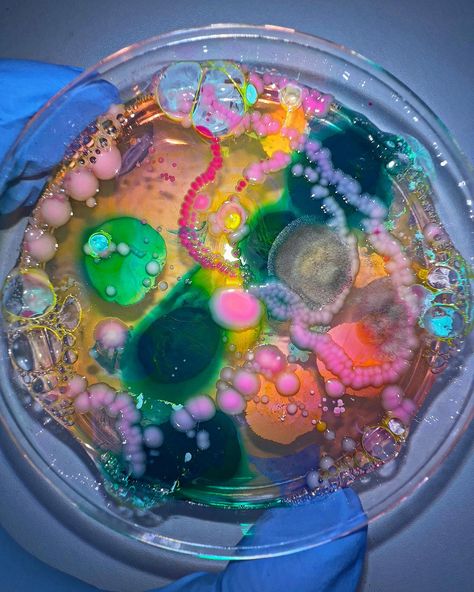 Midnight Gems 🌙😌🩷🌚🌌 | Instagram Mold Core Aesthetic, Mold Aesthetics, Amoeba Aesthetic, Petri Dish Drawing, Science Fair Aesthetic, Bacteria Photography, Stem Cells Art, Microorganisms Art, Bacteria Petri Dish