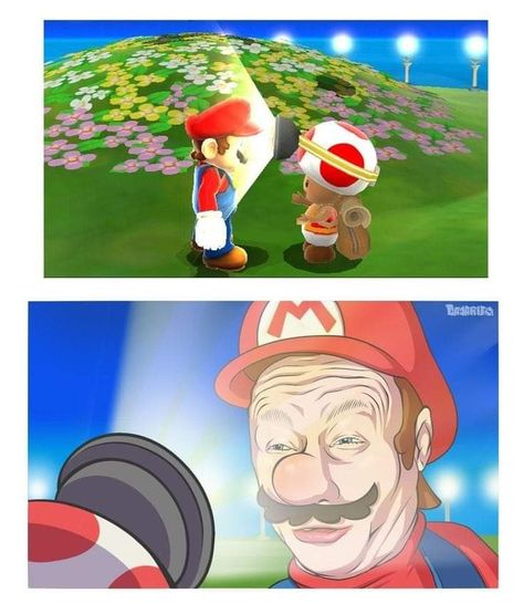 Wojskowy Humor, Mario Funny, Mario Memes, Super Mario Art, Mario Art, 웃긴 사진, Mario And Luigi, Police Officers, Very Funny Pictures