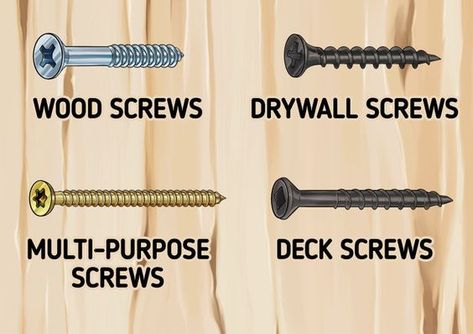 Wood Screws Types Of, Screw And Nail Storage Ideas, Screw Organization Ideas, Screws Organization Ideas, Building Organization, Screw Types, Types Of Screws, Types Of Bolts, Plumbing Materials