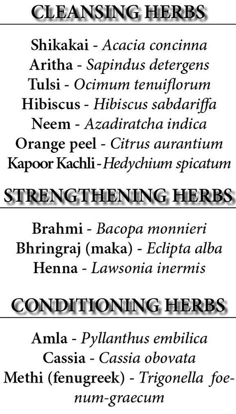 Ayurveda Hair Care, Ayurveda Herbs, Hair Care Frizzy, Ayurveda Hair, Ayurvedic Tips, Ayurvedic Hair Care, Blonde Hair Care, Herbs For Hair, Natural Hair Conditioner