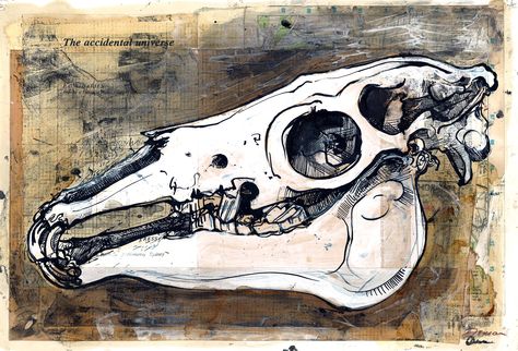 Duncan Cameron - Horse skull ink study www.duncancameron.org Duncan Cameron Artist Research, Duncan Cameron Art, Horse Skull Art, Tattoo Animal Skull, Animal Skull Art, Duncan Cameron, Animal Skull Drawing, Styles For Black Hair, Different Types Of Braids