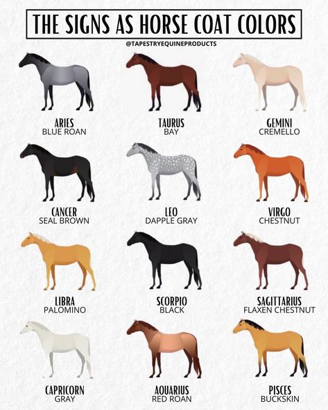 Tapestry Equine Products Inc. on Instagram: “Did we accurately guess your favorite horse coat color based on your astrology sign? 💕 Comment and let us know! Don’t forget to tag your…” Horse Zodiac, Horse Coat Colors, Blue Roan, Leo And Virgo, 3 Friends, Taurus And Gemini, Pretty Horses, Horse Love, Astrology Signs