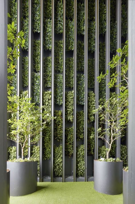 Vertikal Garden, Green Wall Design, Garden Wall Designs, Vertical Garden Design, Green Facade, Vertical Garden Wall, Green Wall Decor, Meteor Garden 2018, Walled Garden