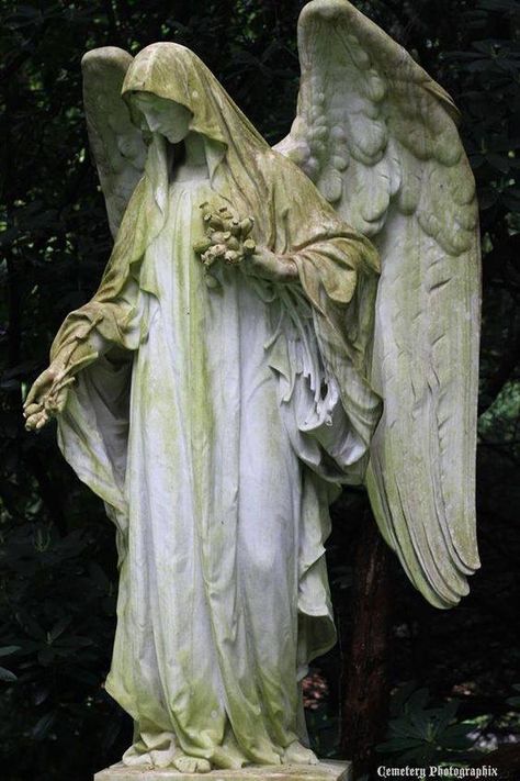 Cemetery angel Angel Looking Down, Cemetery Angels, Cemetery Statues, Výtvarné Reference, I Believe In Angels, Angel Sculpture, Ange Demon, Cemetery Art, Old Cemeteries