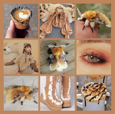 Mushroom Moodboard, Moth Color Palette, Moth Moodboard, Wolf Moodboard, Moths Aesthetic, Adopt Idea, Aesthetic Moodboard, Pretty Images, Mood Board Inspiration