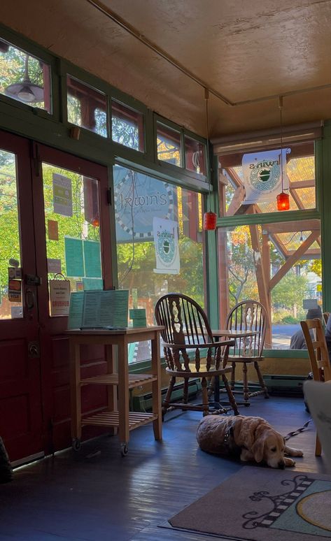 Seattle Home Aesthetic, Seattle Lake House, Washington Homes, Seattle Cafe Aesthetic, Seattle To Do, Seattle Cafe, Seattle Summer Aesthetic, Pnw Summer Aesthetic, Seattle Life