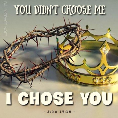 I Chose You, John 15 16, Daily Grace, I Choose You, Biblical Verses, Blessed Life, John 3:16, September 2022, God The Father