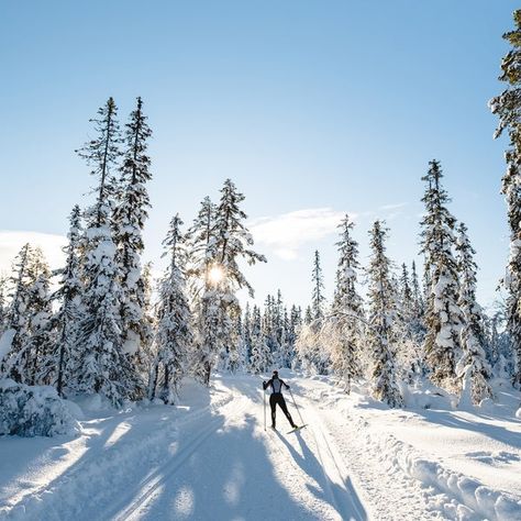 The Best Cross-Country Skis of 2024 Skiing Cross Country, Cross Country Ski Aesthetic, Cross Country Skiing Aesthetic, Crosscountry Skiing, November Moodboard, January Mood, Winter Core, Allegheny National Forest, Winter Board