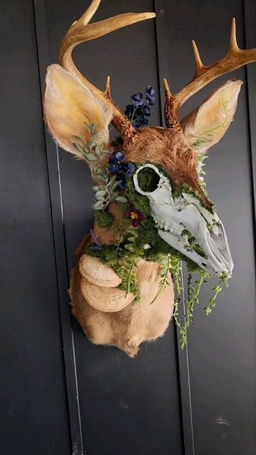 Mythical Creature Taxidermy, Crafts With Bones, Animal Bone Crafts, Cool Taxidermy, Animal Bones Crafts, Dragon Taxidermy, Creative Taxidermy, Taxidermy Art Weird, Witch Crafts Diy