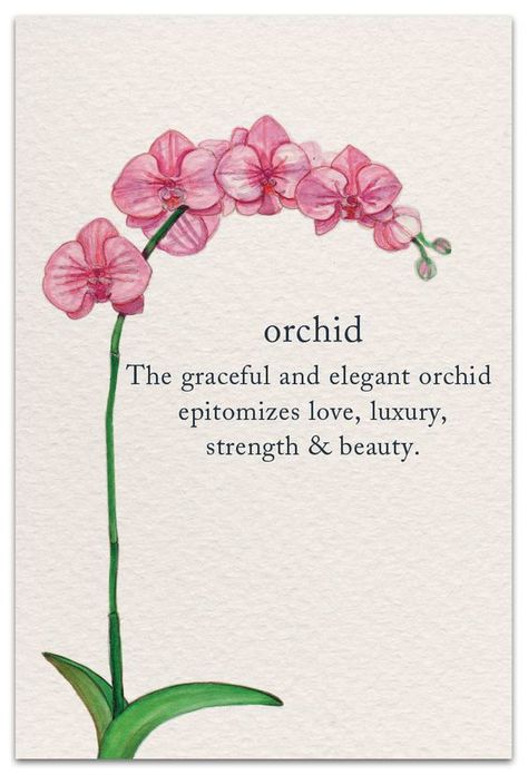 Inside Message: As do you. Happy Birthday #cardthartic #greetingcard #birthdaycard #flowers #orchid #flowercard #stationary #meaningsoflife #greetingcards Flowers With Meaning Messages, Orchid Flower Meaning, Sending Flowers Quotes, Floral Quotes Inspirational, Orchids Meaning, Orchid Quotes, Cute Flower Quotes, Flower Messages, Spiritual Flowers