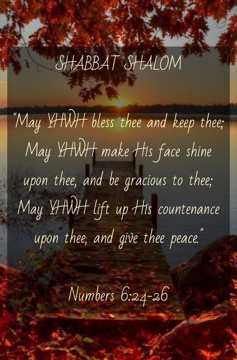 Shalom Meaning, Shabbat Shalom Funny Hilarious, Shalom In Hebrew, Shabbat Shalom Images Beautiful, Sabbath Greetings Shabbat Shalom, Jewish Sabbath, Revelation Bible Study, Sabbath Quotes, Shabbat Shalom Images