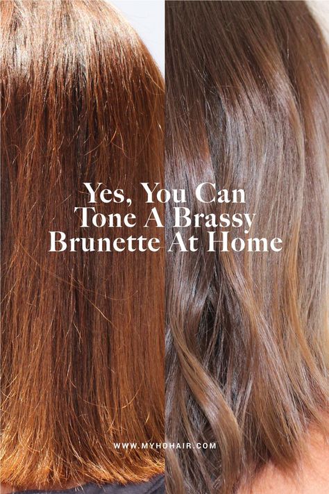 Yes, You Can Tone A Brassy Brunette At Home  Tired of brassy hues in your brunette hair? 💧 Find out how to achieve a cooler, balanced look at home. 💧 Get rid of unwanted warm tones and refresh your brunette. 💧 Explore our blog for at-home toning solutions and tips. 💧 Transform your brassy brunette into a sleek, balanced shade. At Home Hair Toner, Brassy Brunette, Tone Hair At Home, How To Dye Hair At Home, Brassy Hair, Hair Color Remover, Hair Toner, At Home Hair Color, Hair Flow